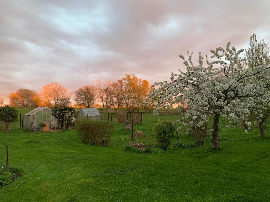 Kongsholmlund - Silent Retreat Villa Vejby ภายนอก รูปภาพ
