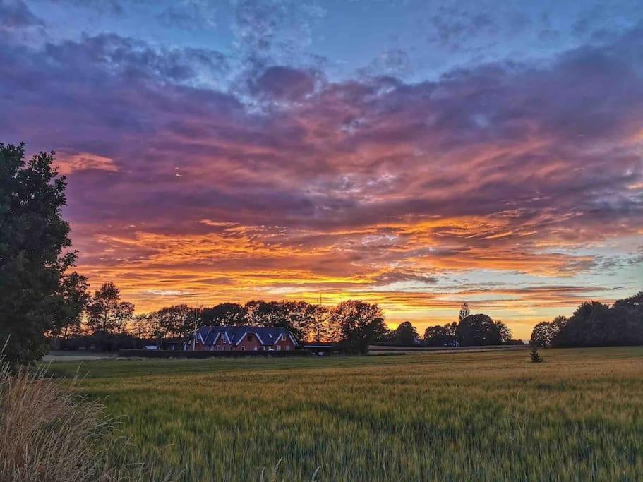 Kongsholmlund - Silent Retreat Villa Vejby ภายนอก รูปภาพ