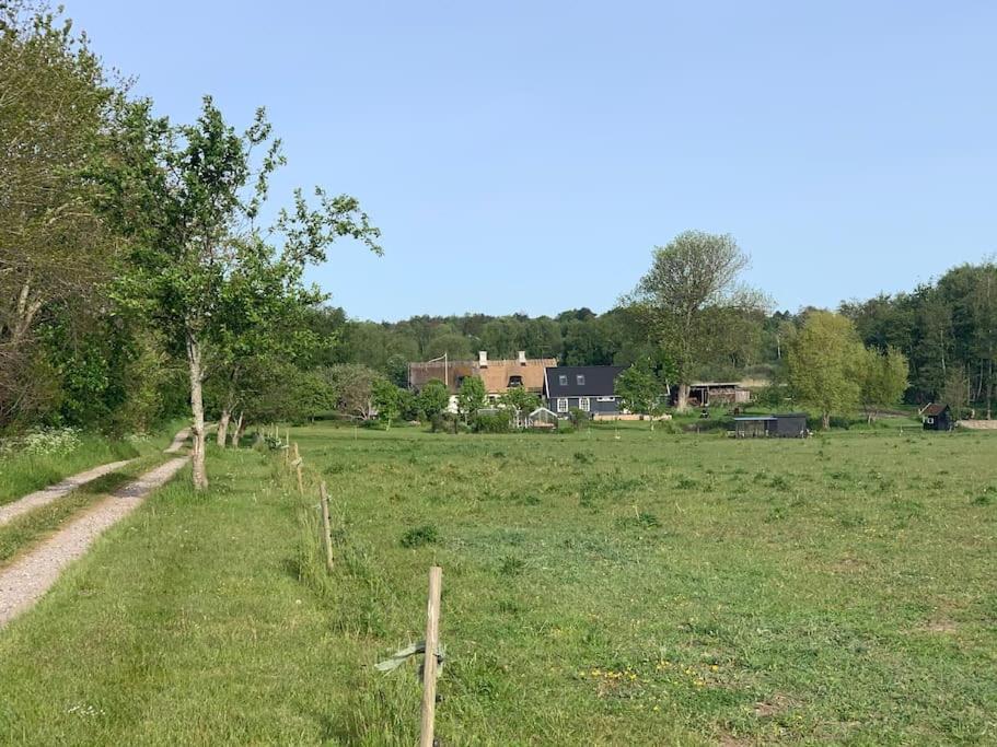 Kongsholmlund - Silent Retreat Villa Vejby ภายนอก รูปภาพ